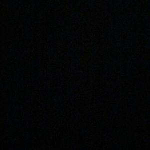 Meet your Posher, Ronnie